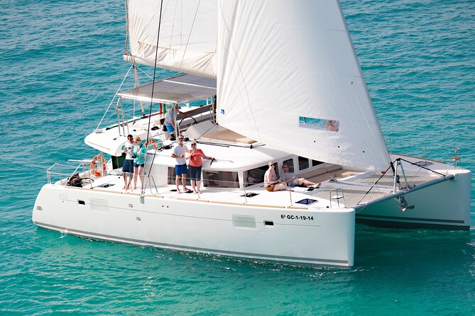 Fuerteventura: Small-Group Magic Deluxe Catamaran Cruise - Searching the Atlantic for dolphins and whales