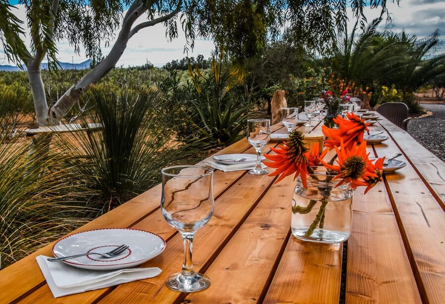 Fuerteventura: Tapas and Local Life Guided Tour - Why this five-hour food tour feels different