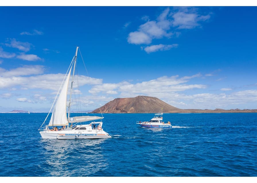 Fuerteventura: Whale & Dolphin Watching Boat Tour with Guide - Guides who make the waiting worthwhile