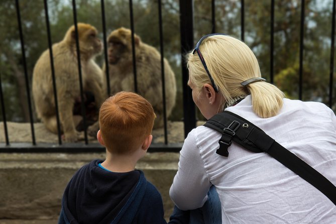 Gibraltar Rock Guided Tour - Apes’ Den and Gibraltar’s famous macaques