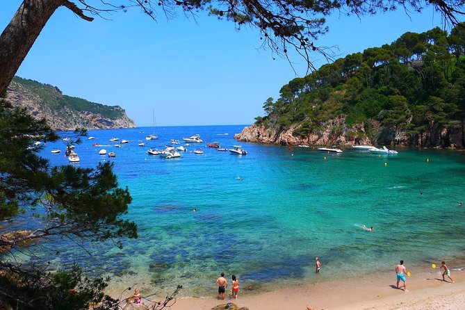 Girona & Costa Brava Small-Group Tour with Pickup from Barcelona - Key Reasons to Consider This Day Trip