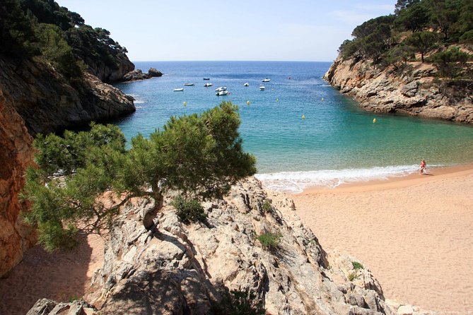 Girona & Costa Brava Small-Group Tour with Pickup from Barcelona - What the Guides Add