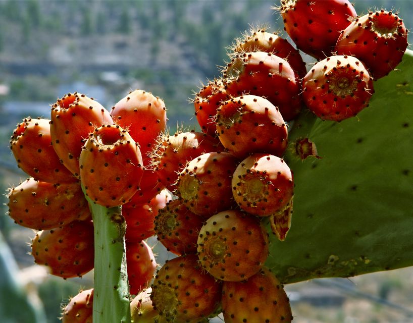 Gran Canaria: 6-Hour Teror and San Mateo Markets Tour - Leaving the southern resorts by air-conditioned coach