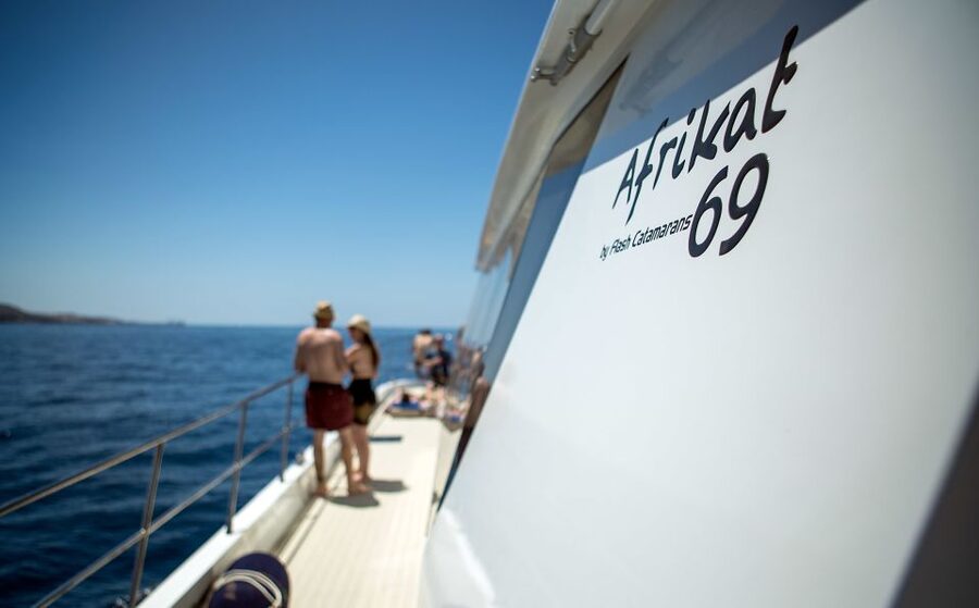 Gran Canaria: Afternoon Catamaran Cruise with Food & Drink - Who will enjoy the Afrikat cruise most?