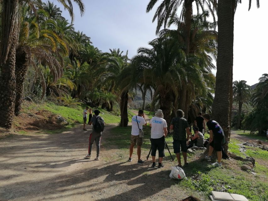 Gran Canaria: Camel Ride at Camel Safari Park - A Short Camel Ride in the Oasis of 1,000 Palms