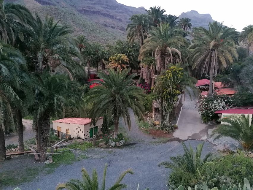 Gran Canaria: Camel Ride at Camel Safari Park - Who Will Enjoy This Activity Most?