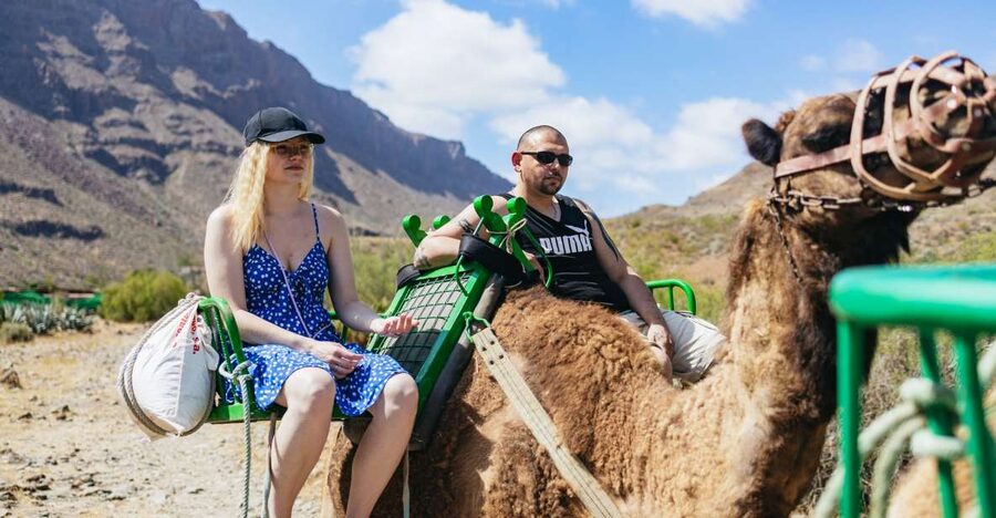 Gran Canaria: Camel Ride Safari w/ Optional Food & Transport - Reaching the Oasis of the 1,000 Palms