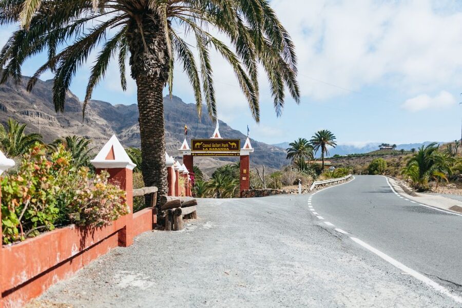 Gran Canaria: Camel Ride Safari w/ Optional Food & Transport - Heat, clothing, and comfort