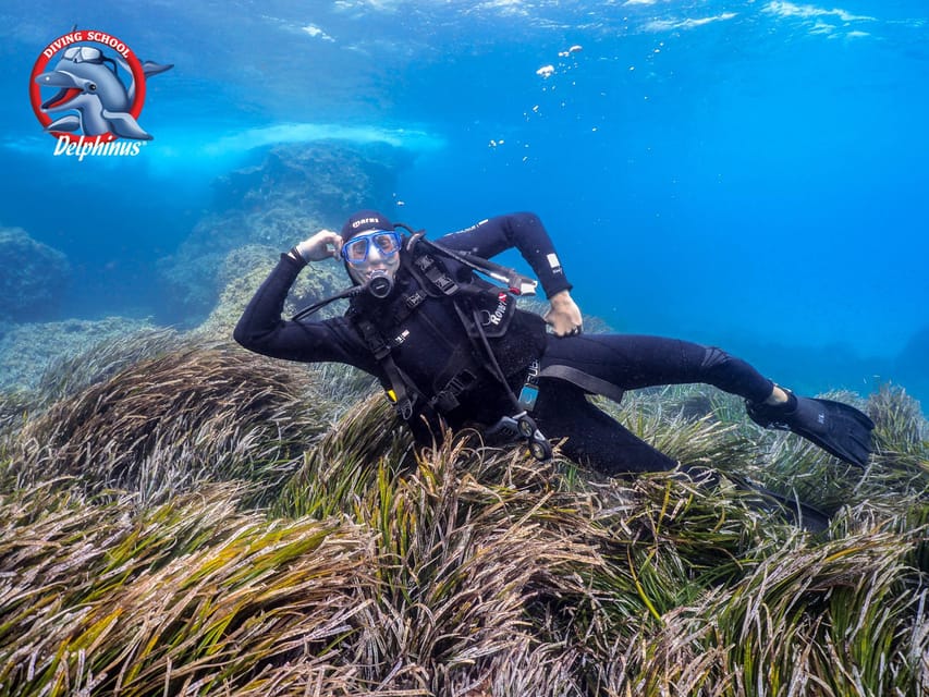 Gran Canaria: Discover Scuba Diving Beginner Program - Key points before you book
