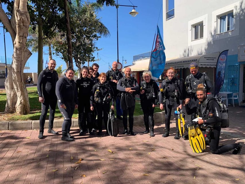 Gran Canaria: Discover Scuba Diving Beginner Program - The Atlantic session and what you may see