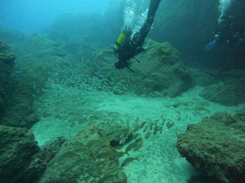 Gran Canaria: Discover Scuba Diving - Free Transfers - Starting with pickup in southern Gran Canaria