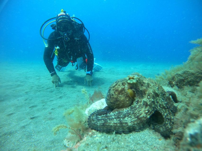 Gran Canaria: Discover Scuba Diving - Free Transfers - Managing high-season waiting time