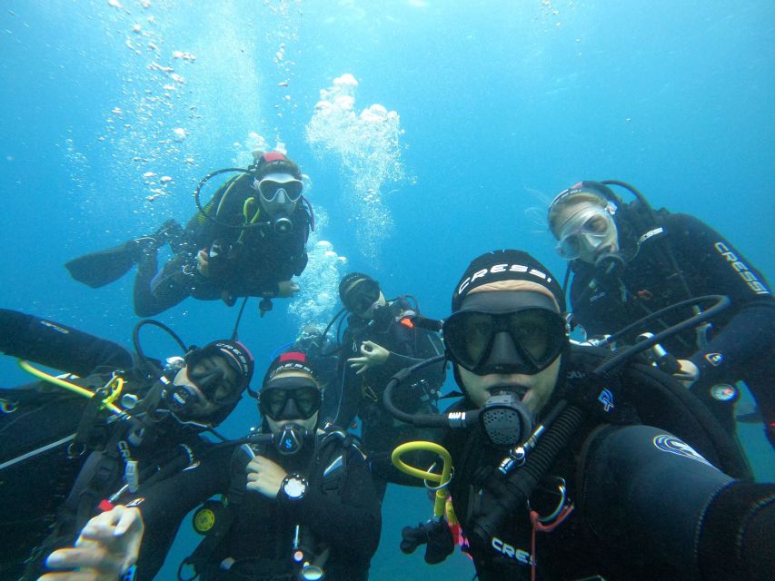 Gran Canaria: Discover Scuba Diving - Free Transfers - Who will enjoy this experience most