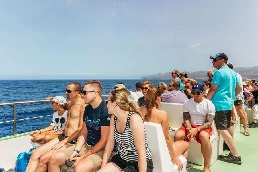 Gran Canaria: Dolphin and Whale Watching Cruise - Is $40 good value?