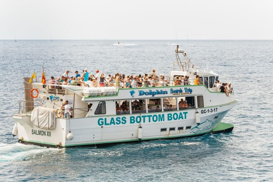 Gran Canaria: Dolphin and Whale Watching Cruise - Bringing children on the boat