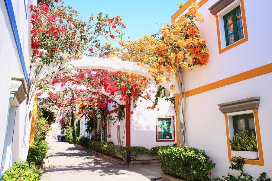 Gran Canaria: Full-Day Island Sightseeing Coach Tour - The East Coast Return and the Pace of the Day