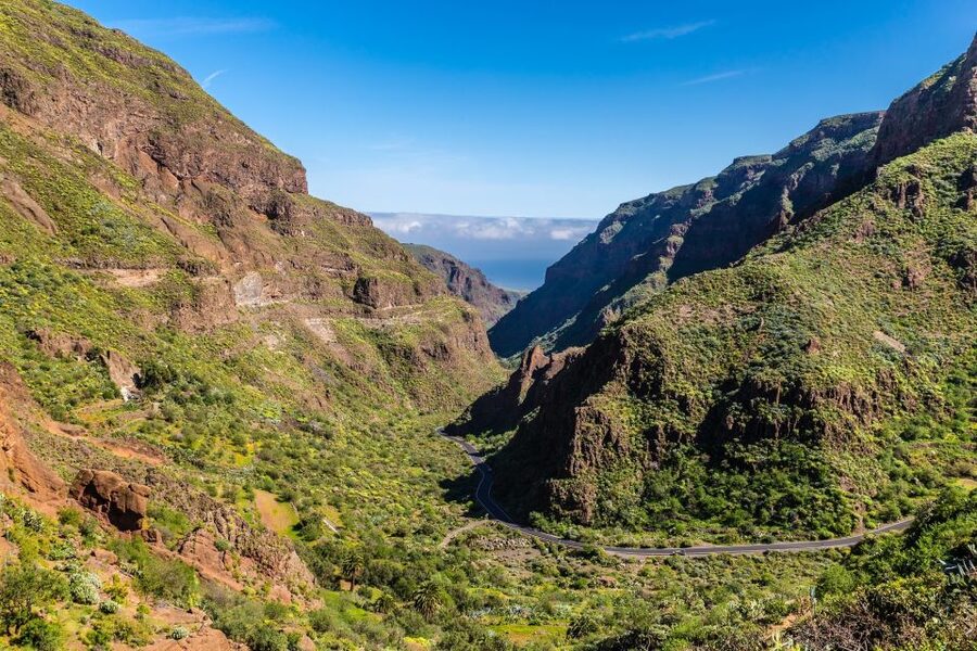 Gran Canaria: Full-Day VIP Tour by Bus - Why this bus tour works for seeing the island