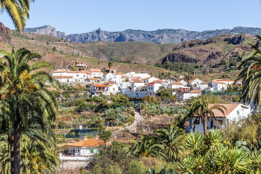 Gran Canaria: Full-Day VIP Tour by Bus - Firgas and Gran Canaria’s northern side