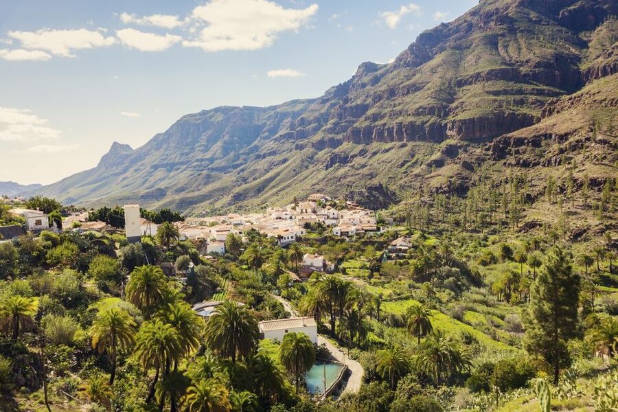 Gran Canaria: Full-Day VIP Tour by Bus - Pine forests, almond trees, and Roque Nublo