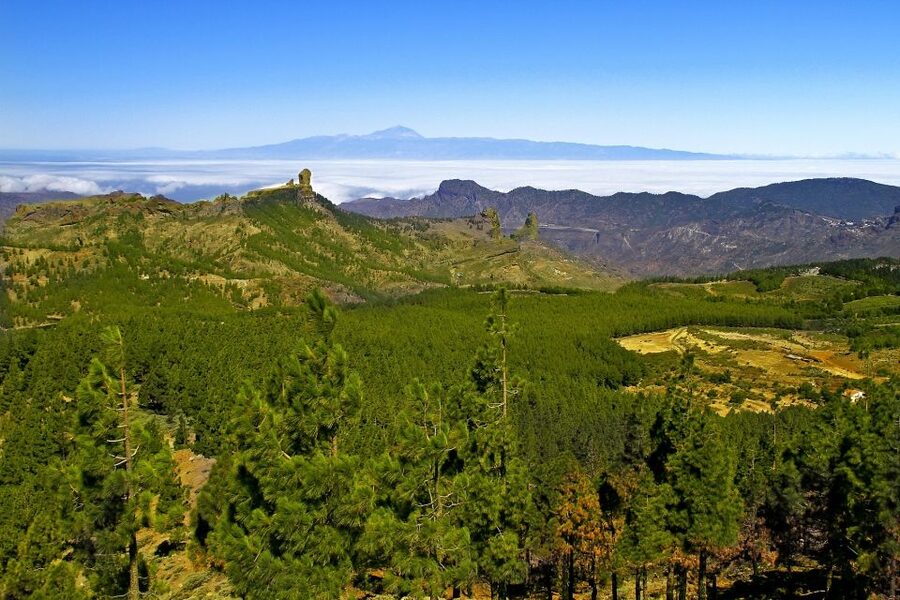 Gran Canaria: Full-Day VIP Tour by Bus - Language, group rhythm, and guide quality