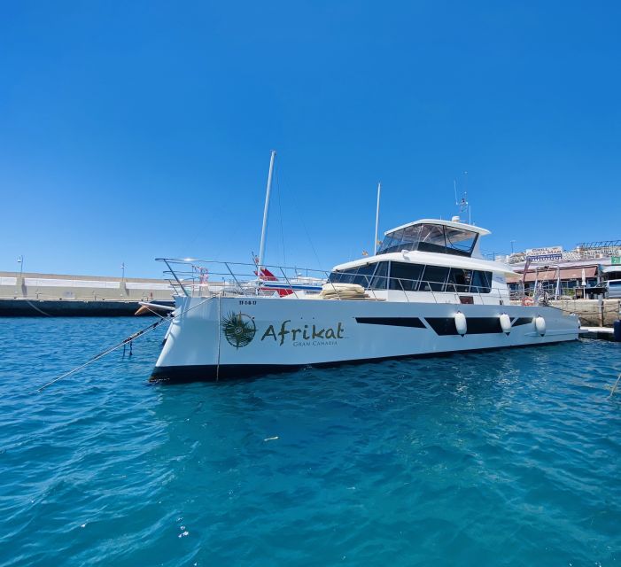 Gran Canaria: Fun Catamaran Cruise with Food and Drinks - Is $88 good value?