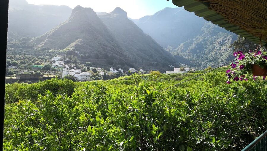 Gran Canaria: Grand Island Tour by Bus with Transfers - What this Grand Island Tour really offers