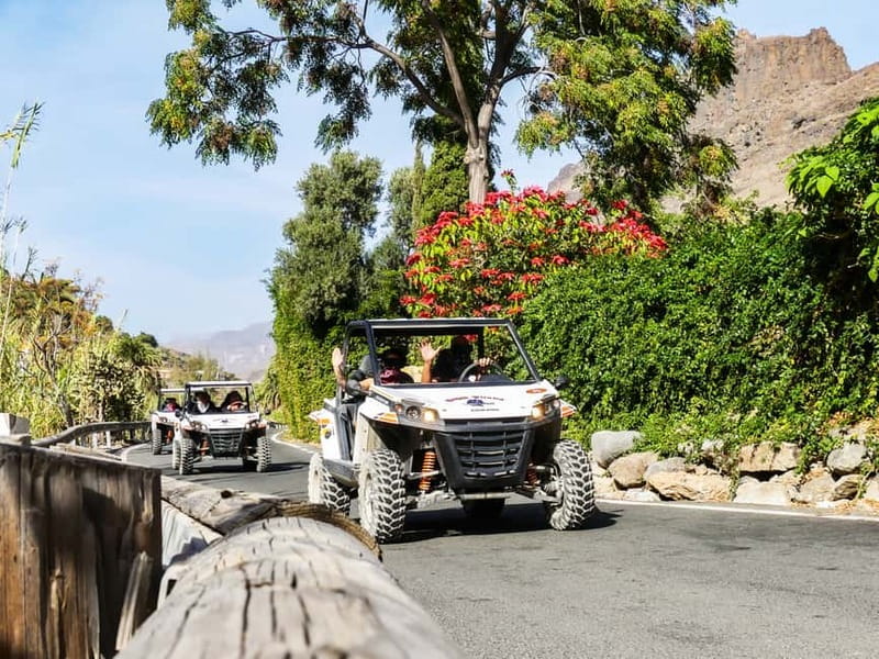 Gran Canaria Guided Buggy Tour - How much driving do you actually get?
