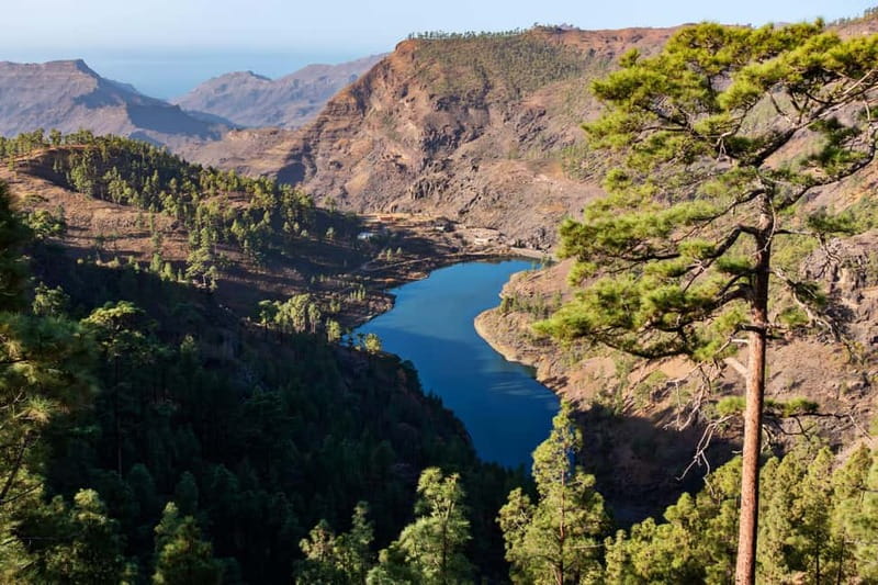 Gran Canaria: Island Highlights Tour with Optional Lunch - Caldera de Bandama and Gran Canaria’s volcanic past