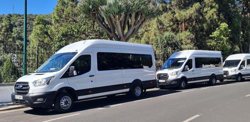 Gran Canaria: Island Highlights Tour with Optional Lunch - Pico de las Nieves and views toward Roque Nublo