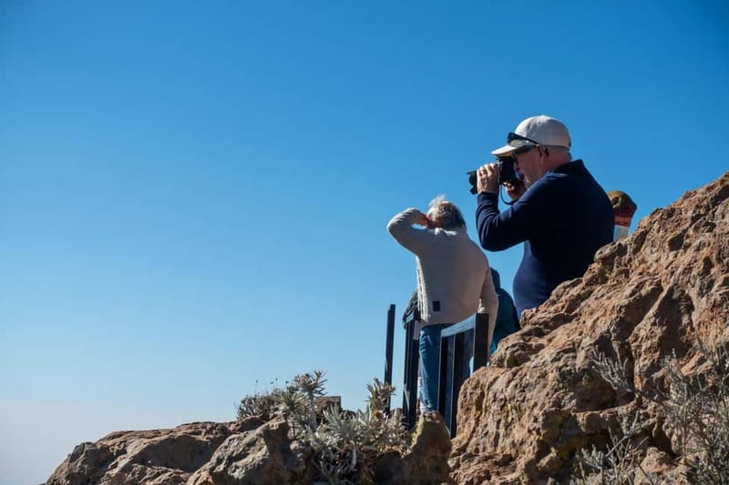 Gran Canaria: Island Highlights Tour with Optional Lunch - From Maspalomas to the Aloe Vera finca