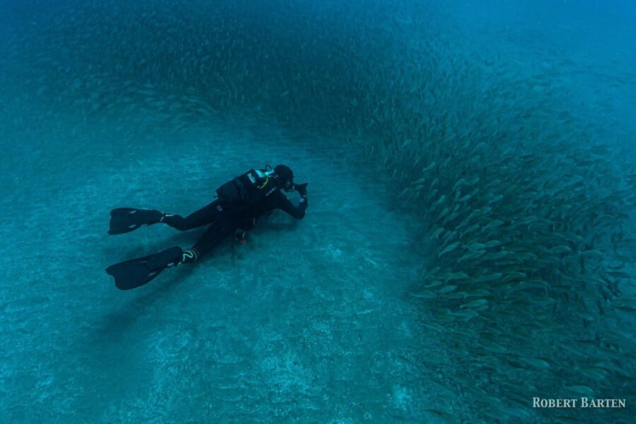 Gran Canaria:Live an Adventure and Learn to Dive with Expert - What the $100 Price Includes