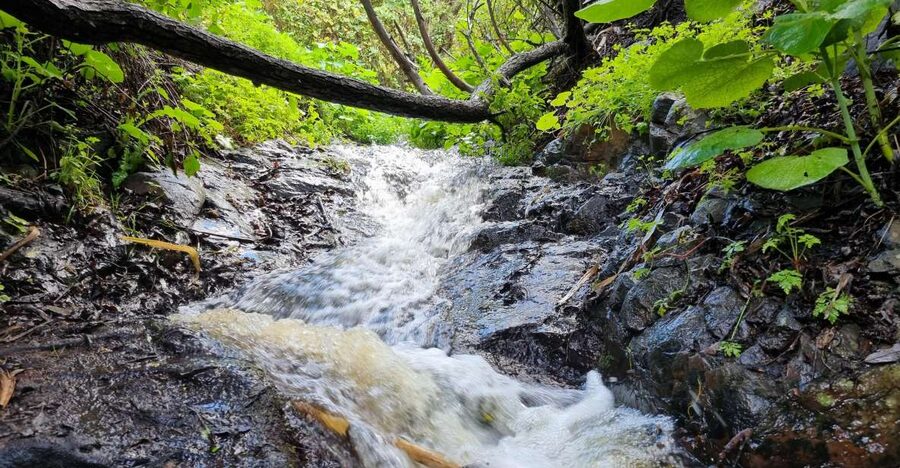 Gran Canaria: "Magic Waterfalls" Hiking Tour - A 7-kilometer route with modest but real effort