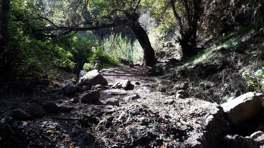 Gran Canaria: "Magic Waterfalls" Hiking Tour - Final verdict: a strong choice for active nature lovers