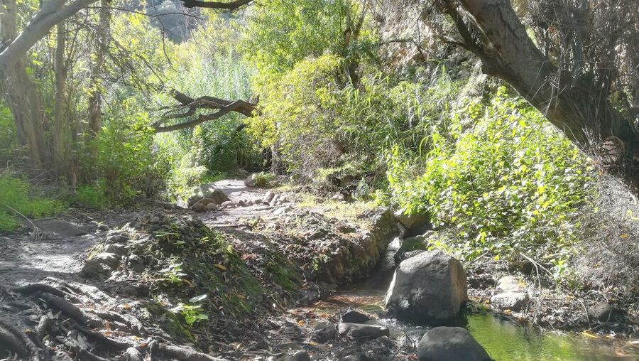 Gran Canaria: "Magic Waterfalls" Hiking Tour - Morning pickup from the southern resorts