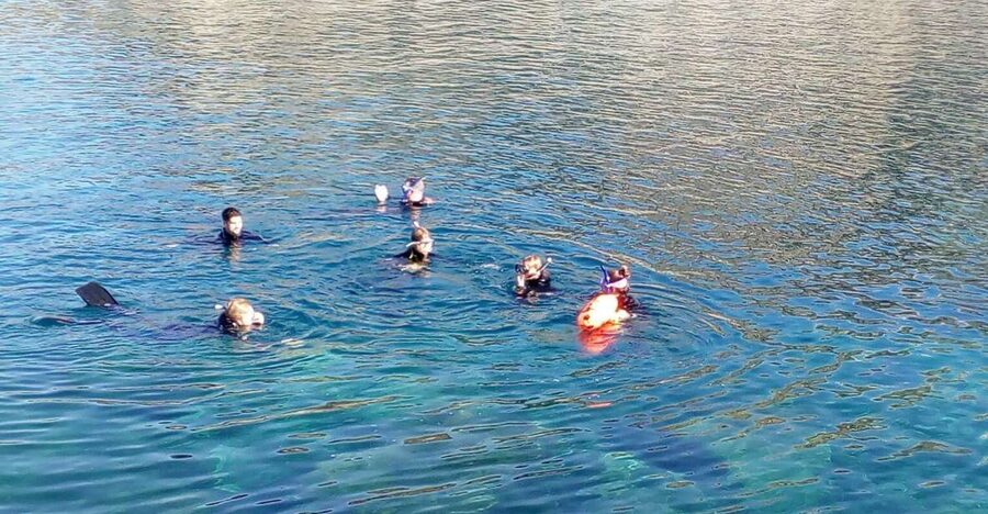 Gran Canaria: Snorkeling Trip - Starting at the Puerto Rico diving center