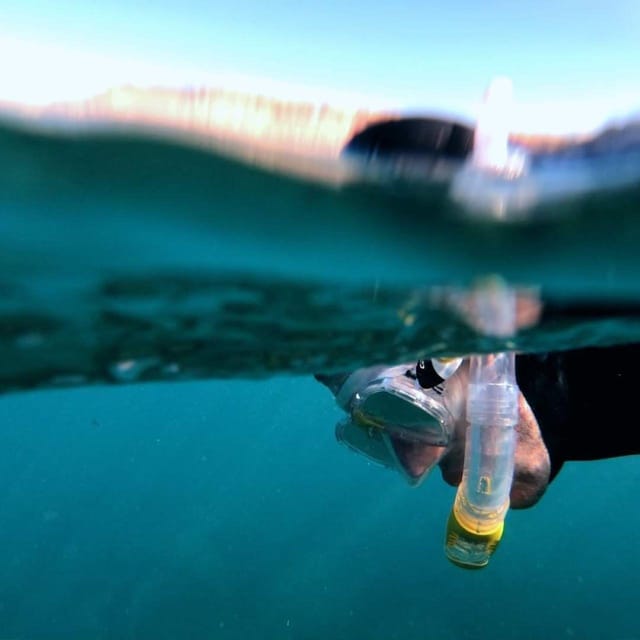 Gran Canaria: Snorkeling Trip - The ride to a local beach