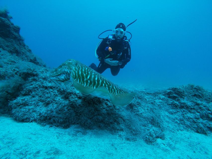 Gran Canaria: Try Scuba Diving for Beginners - Who should book this Gran Canaria scuba session?