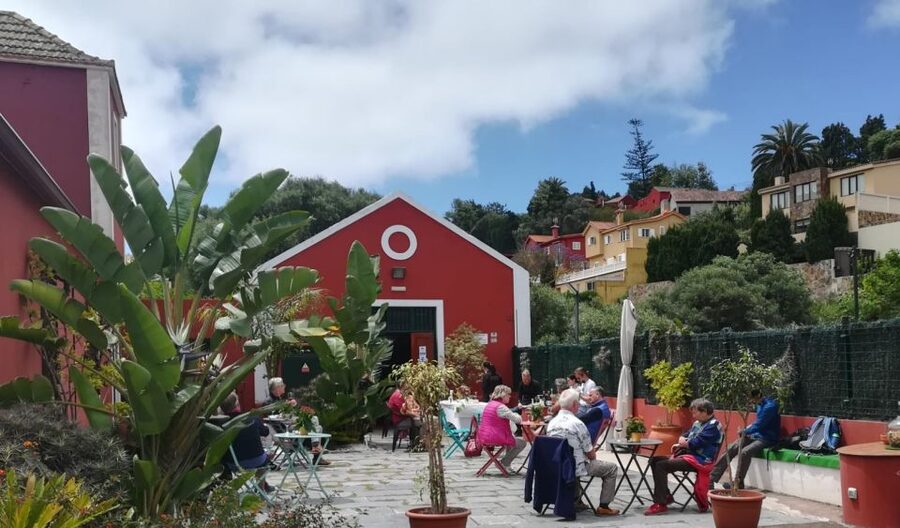 Gran Canaria: Winery Tour, Wine Museum, and Tasting - Gran Canaria’s only wine museum