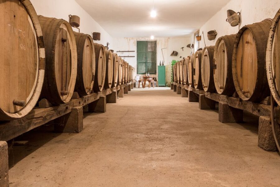 Gran Canaria: Winery Tour, Wine Museum, and Tasting - Entering the cellar among wooden casks