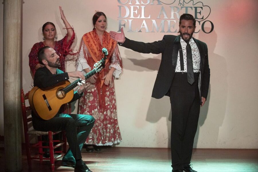 Granada: 1-Hour Traditional Flamenco Show - What happens during the one-hour performance
