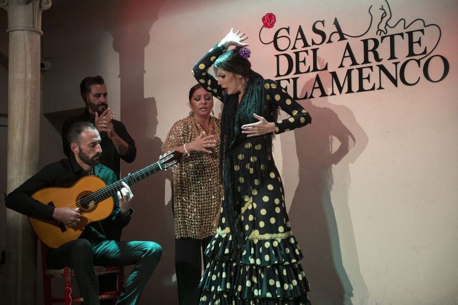 Granada: 1-Hour Traditional Flamenco Show - Is $23 a good value?
