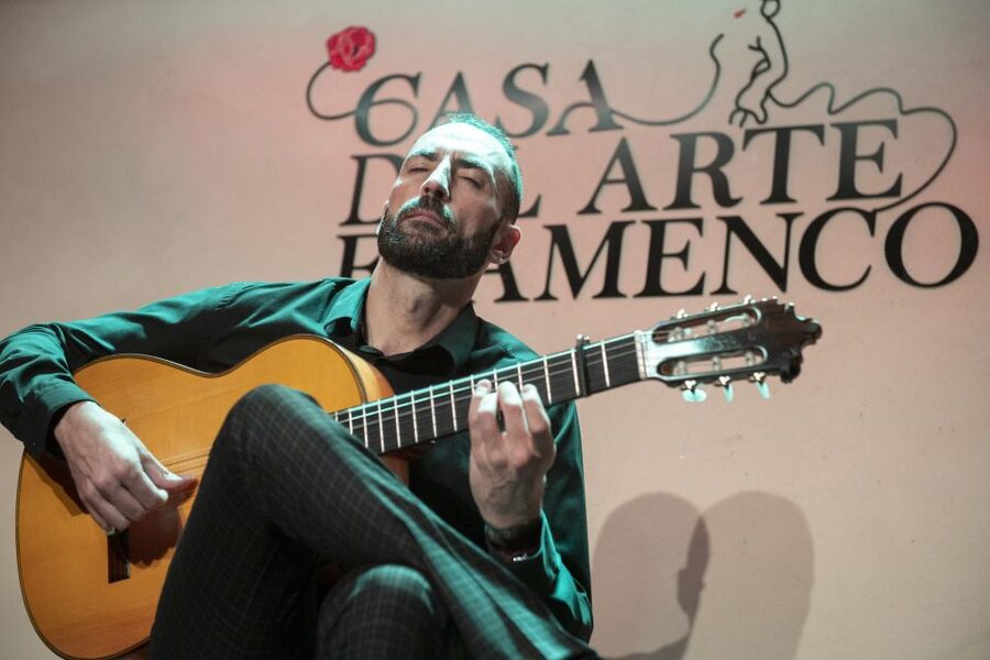 Granada: 1-Hour Traditional Flamenco Show - Who should book this experience?