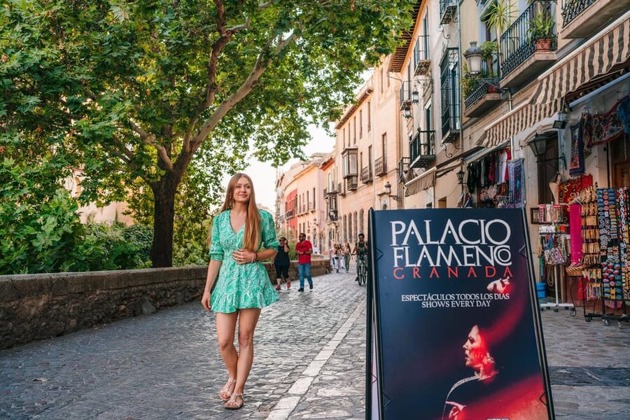 Granada: 1-Hour Traditional Flamenco Show at Palacio - The one-hour performance, from guitar to final footwork