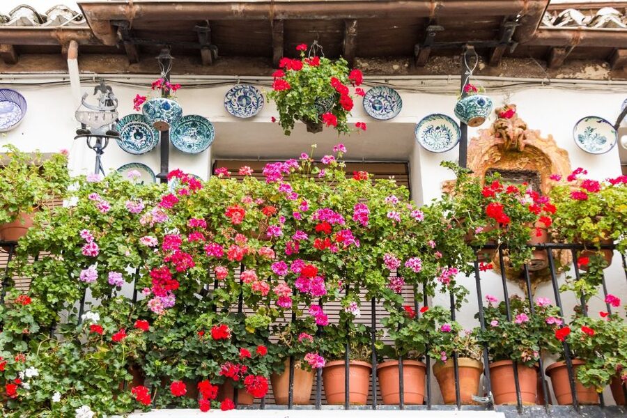 Granada: Albaicín and Sacromonte Walking Tour - Starting beneath the Isabella and Columbus monument