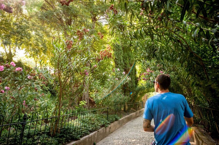 Granada: Alhambra Entry Ticket with Audio Guide - Generalife Gardens: the quieter opening act