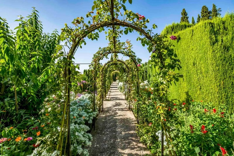 Granada: Alhambra & Gardens Tour w/Nasrid Palaces Option - How the guides shape the experience