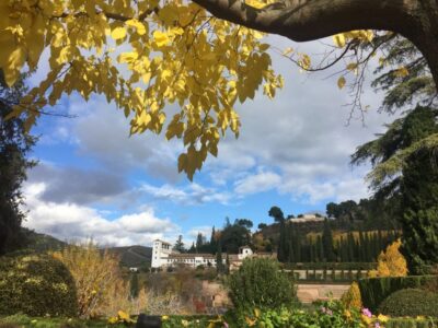 Alhambra & Generalife Fast-Track Guided Tour