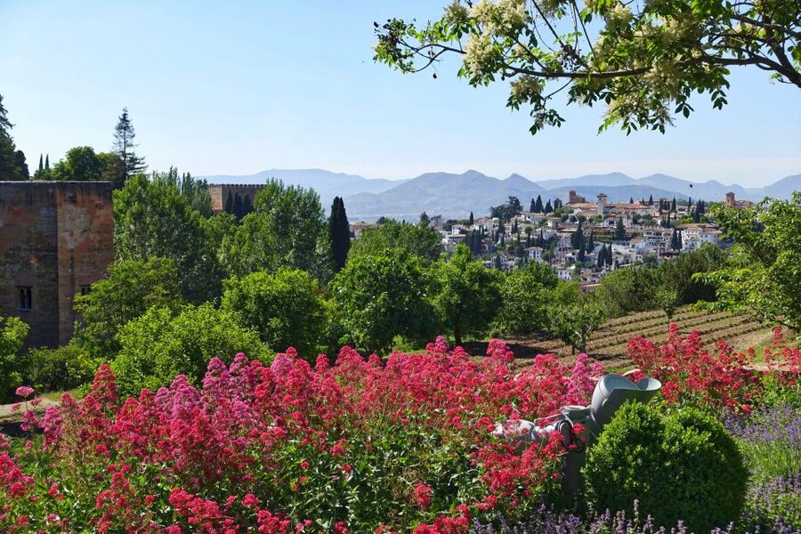 Granada: Alhambra Palace Guided Tour - Is $50 a fair price?