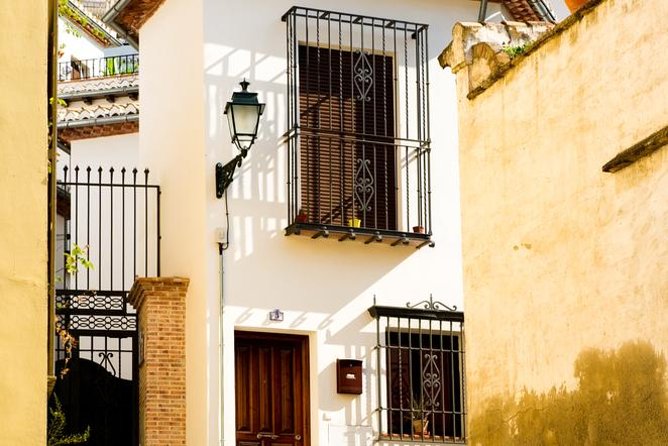 Granada Day Trip with Alhambra and Albaicin Tour from Seville - Who should book this Granada day trip?