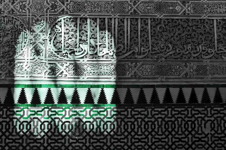 Granada: Fast-Track Alhambra & Nasrid Palaces Guided Tour - Practical limits and booking details
